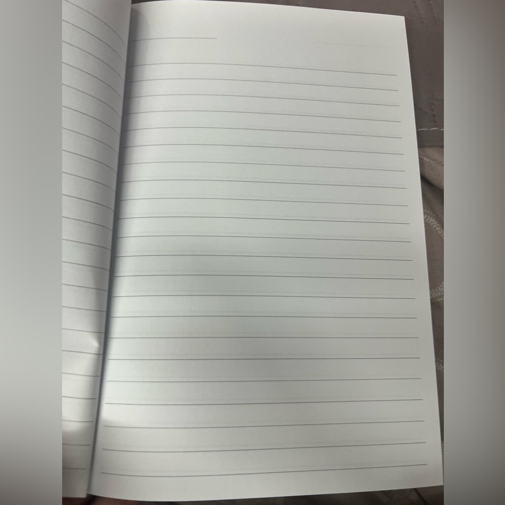 Daily Journal - Picture 4 of 6